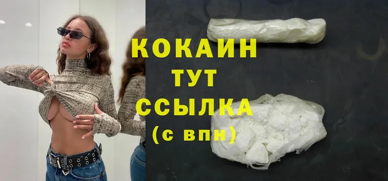 продажа наркотиков  Канаш  COCAIN Fish Scale 