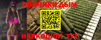 стаф Дубна