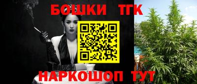 стаф Дубна