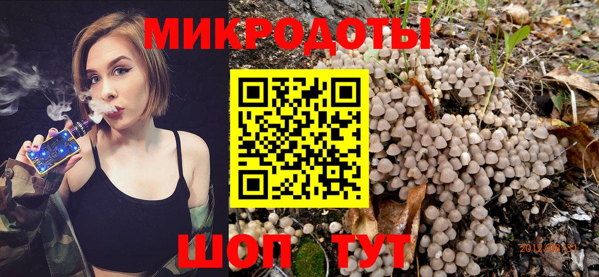 Канаш  Галлюциногенные грибы MAGIC MUSHROOMS  Вход с VPN 