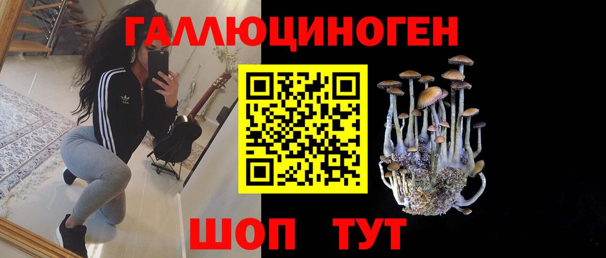 Псилоцибиновые грибы Cubensis Канаш